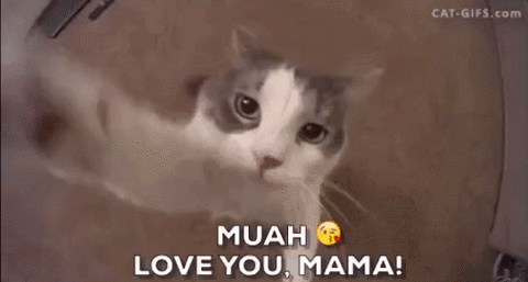 beso gatuno dia de la madre