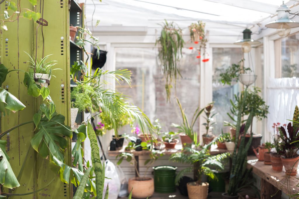 Decoración de flores y plantas en terraza